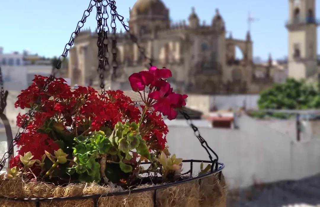 La Gitanilla Alojamiento & Encanto Jerez-1